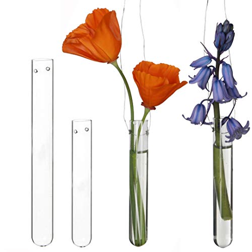 Glasvase Hängevase Blumenvase Pflanzenhalter Dekovase mit Ständer
