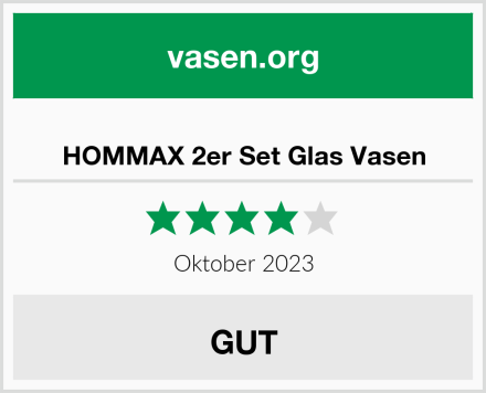  HOMMAX 2er Set Glas Vasen Test