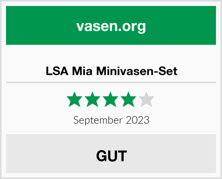 LSA Mia Minivasen-Set Test