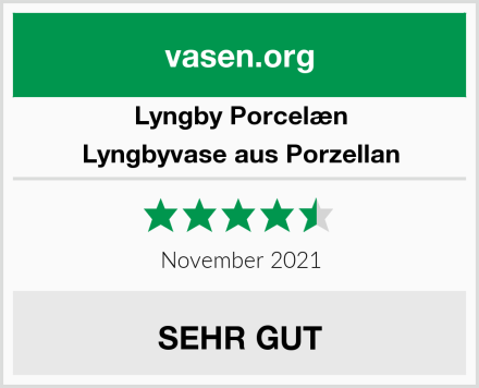 Lyngby Porcelæn Lyngbyvase aus Porzellan Test