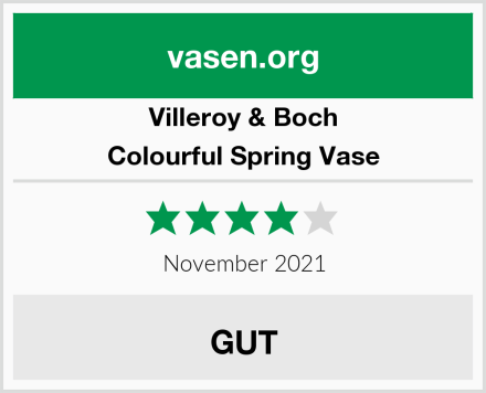 Villeroy & Boch Colourful Spring Vase Test