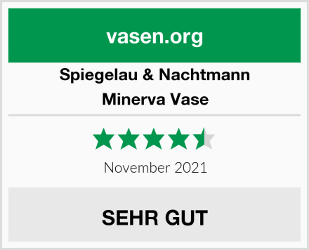 Spiegelau & Nachtmann Minerva Vase Test