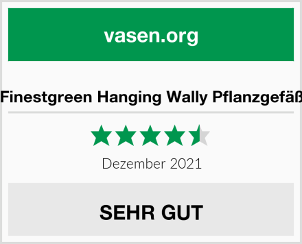  Finestgreen Hanging Wally Pflanzgefäß Test