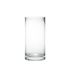 Oasis Blumenvase aus klarem Glas